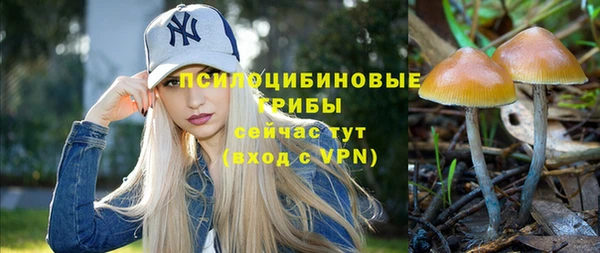 mix Осинники